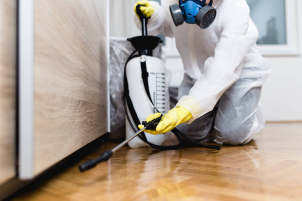 Talpa, NM Pest Control Company