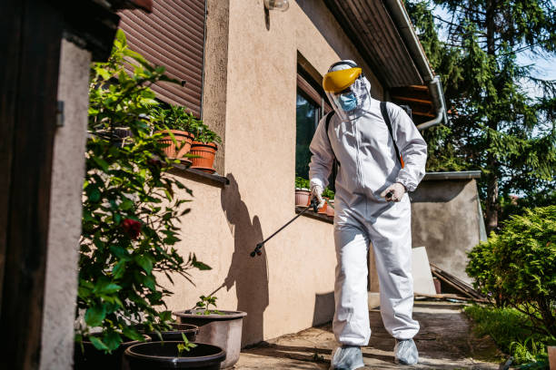 Best Best Pest Control Companies  in Talpa, NM