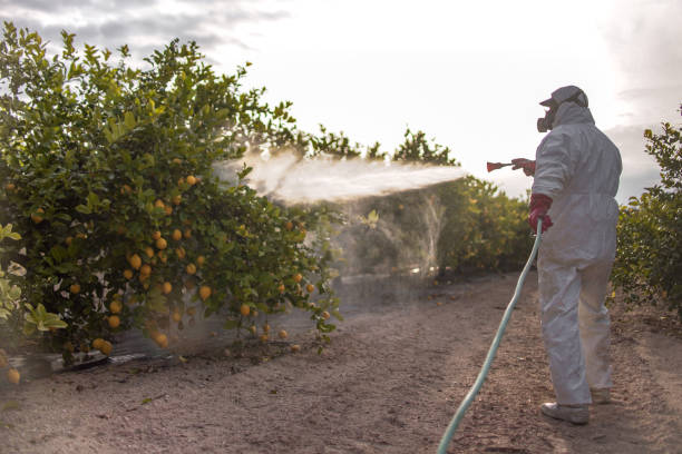 Best Residential Pest Control  in Talpa, NM