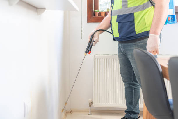 Best Affordable Pest Control Services  in Talpa, NM